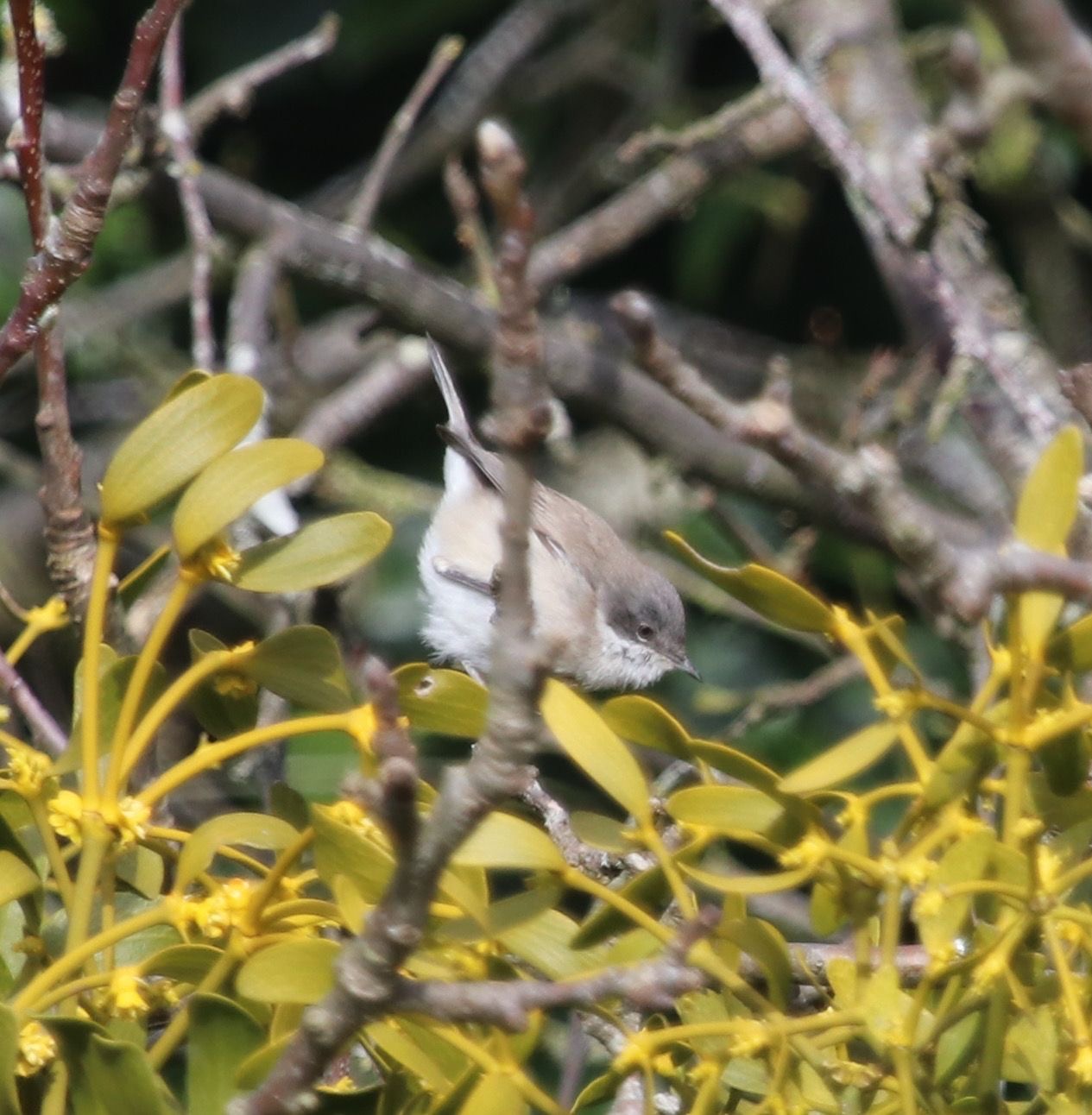 69ec985b def3 471b a002 2198768aab76