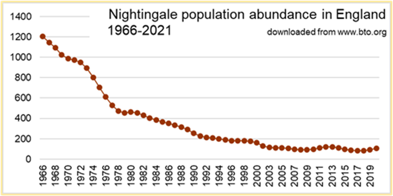 England_Nightingale_abundance_chart_1966-2021.jpeg
